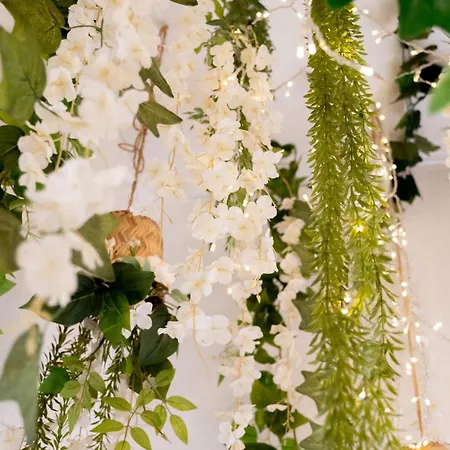 Douro Rural * פורטו