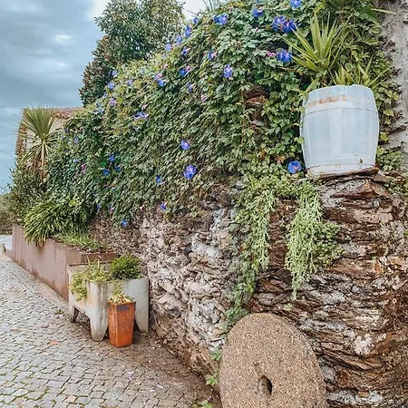 Douro Rural Prázdninový dům Porto